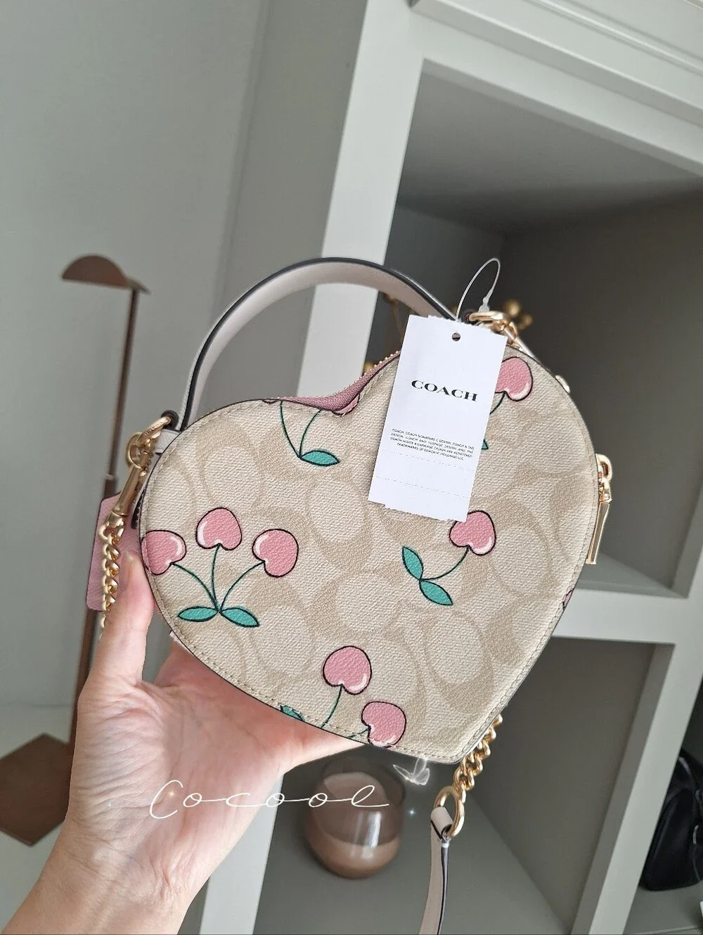 NEW COACH Heart Crossbody In Signature Canvas With Heart Cherry Print CE653